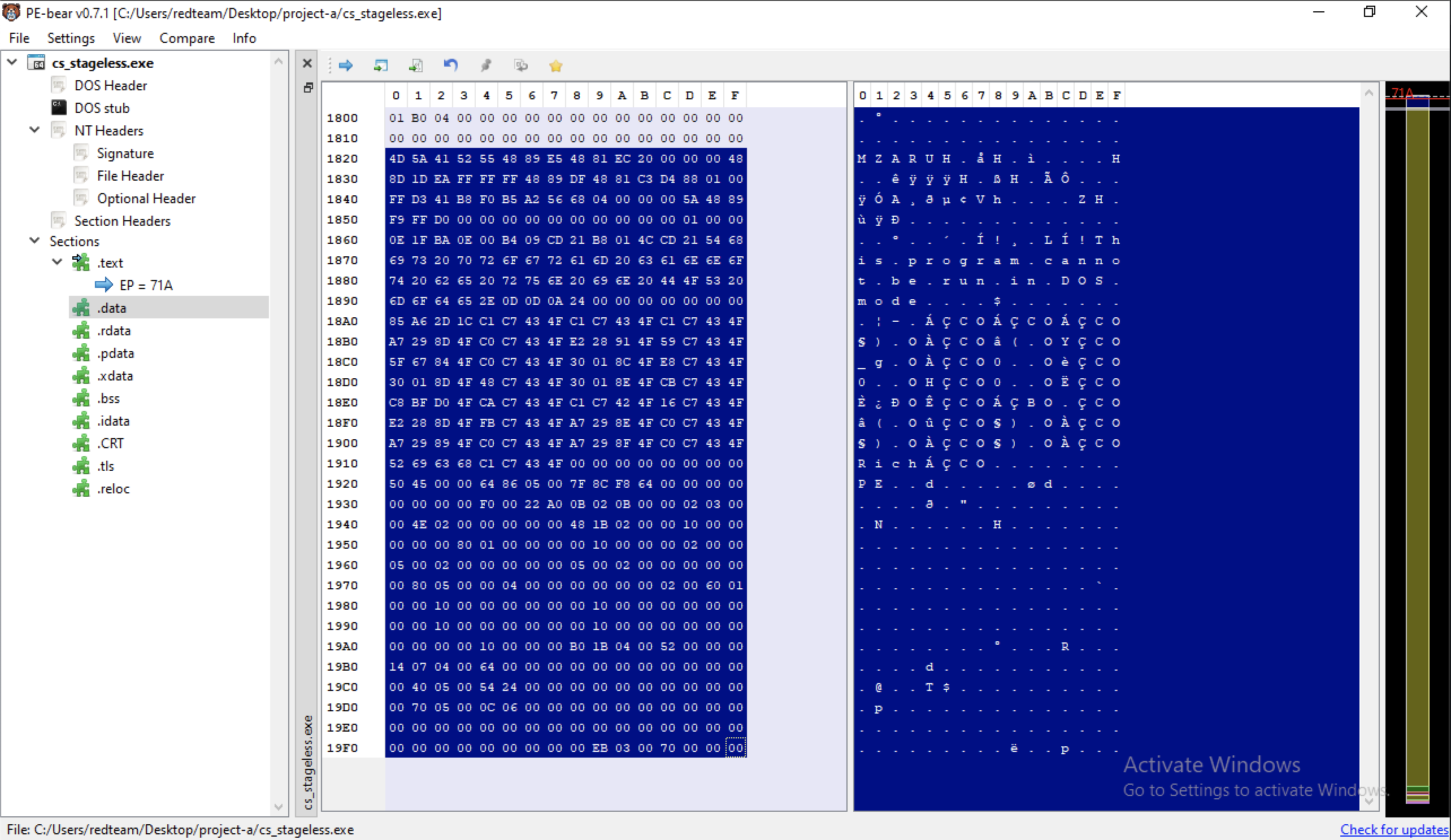 pebear - shellcode