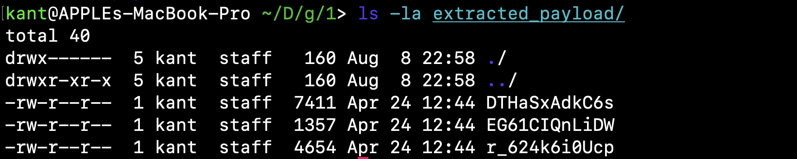 *The extracted payload artifacts demonstrating extensionless file-type obfuscation.*