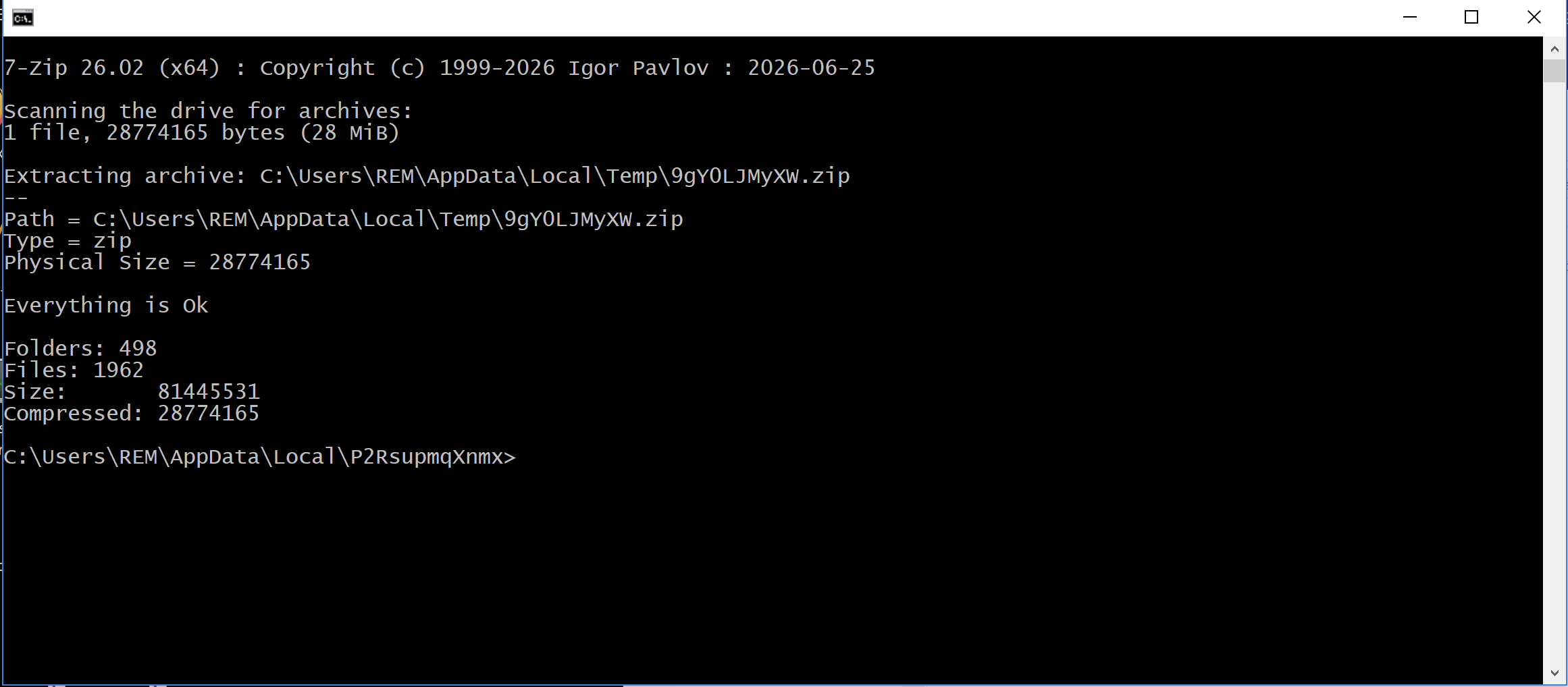 Successful Node.js Archive Extraction During Detonation.