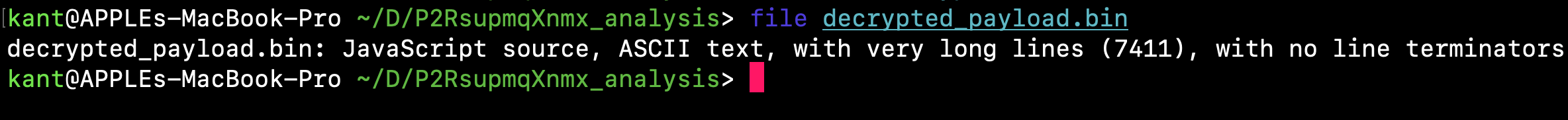 file command on decrypted_payload.bin