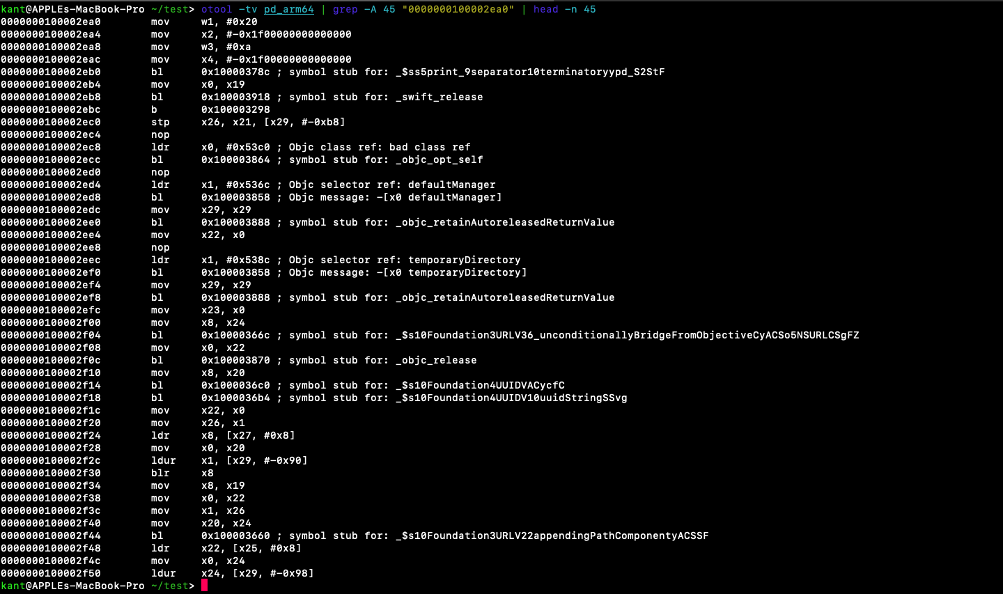Disassembly resolving the temporary directory path and random UUID