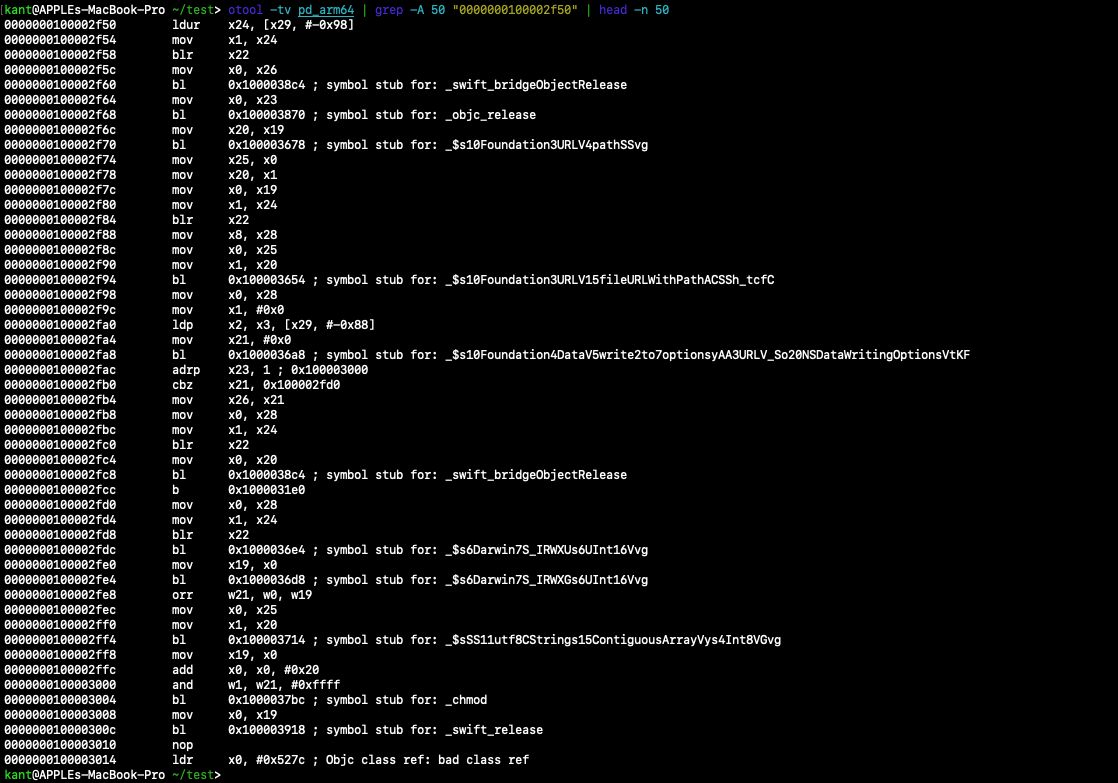 Disassembly showing file write operations and chmod call