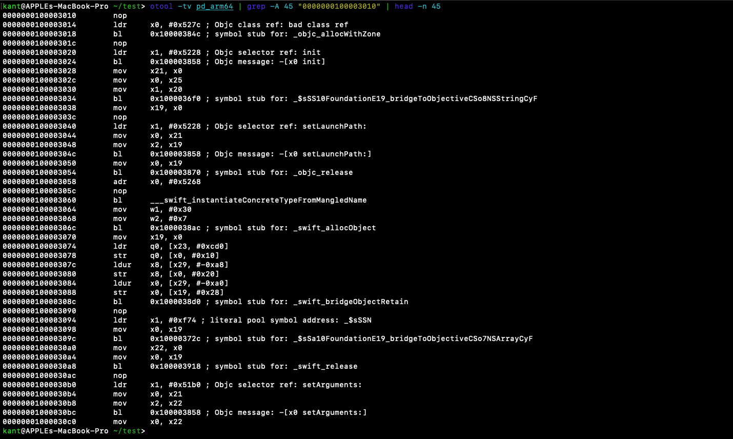 Disassembly showing the instantiation and configuration of NSTask
