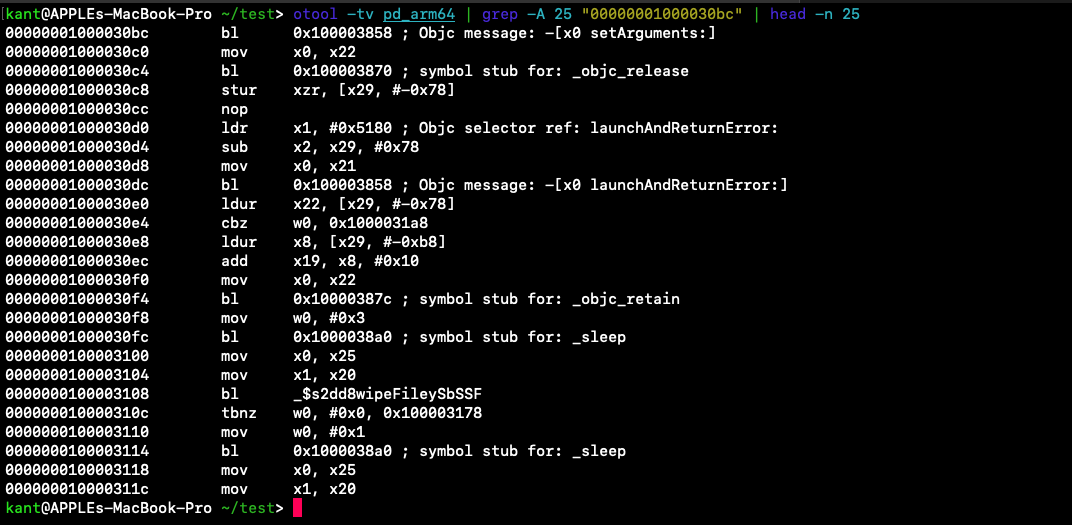 Disassembly showing process execution followed by sleep and file wiping