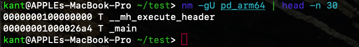 The output of nm showing only the Mach-O execute header and the main entry point