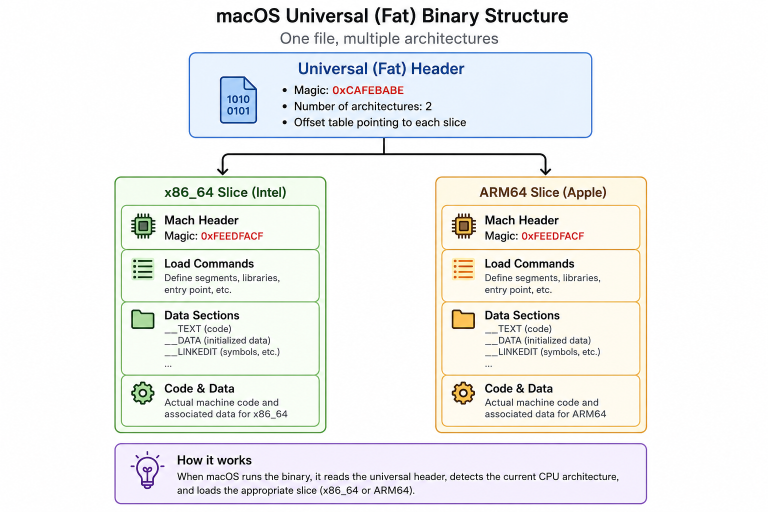 macho fat binary structure