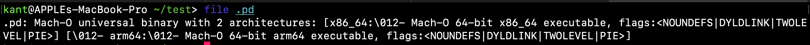 file command output