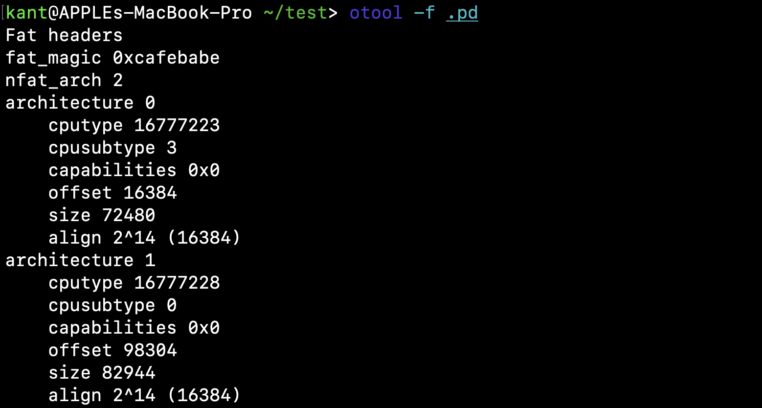 otool -f .pd output