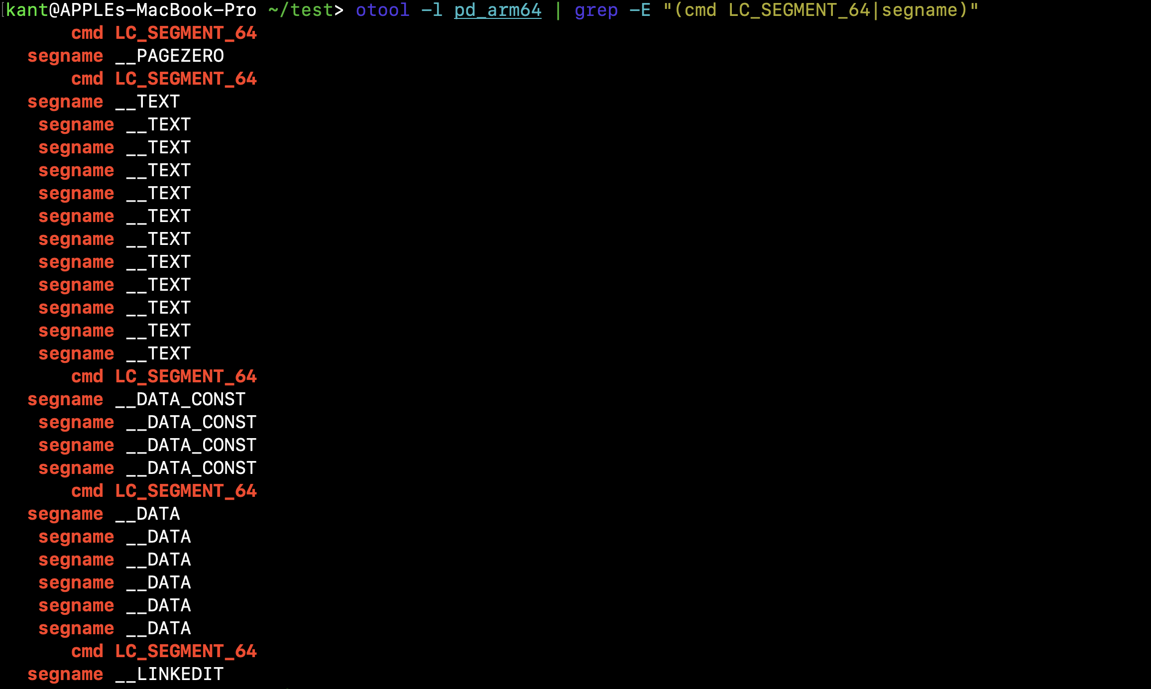 otool -l pd_arm64 | grep -E "(cmd LC_SEGMENT_64|segname)”