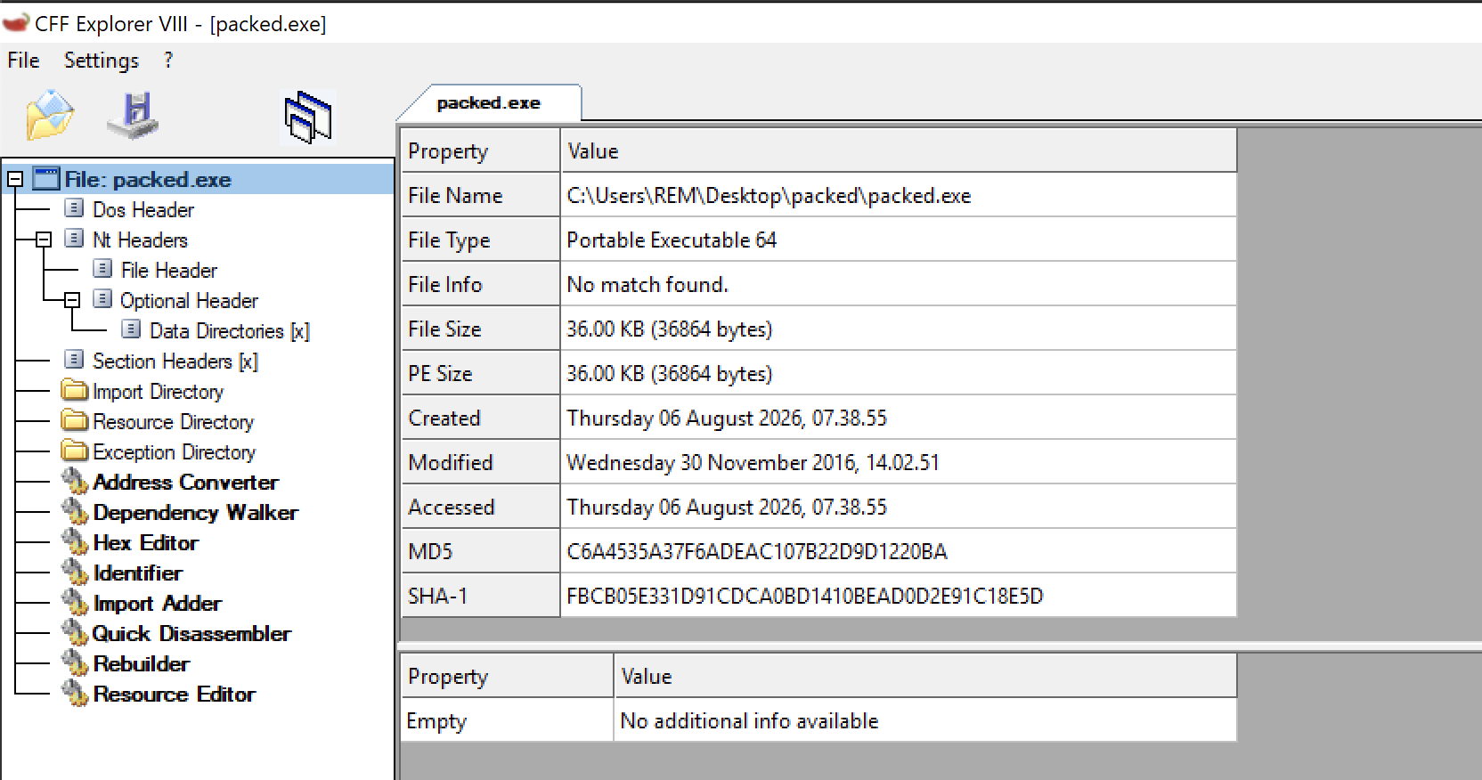 sample loaded in CFF explorer